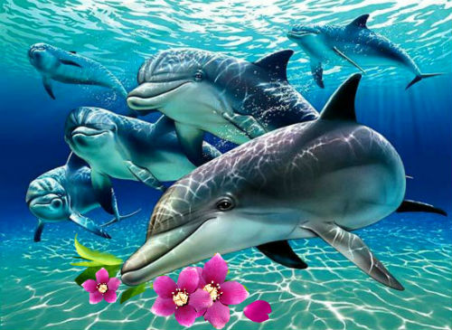 День защиты млекопитающих - День китов и дельфинов