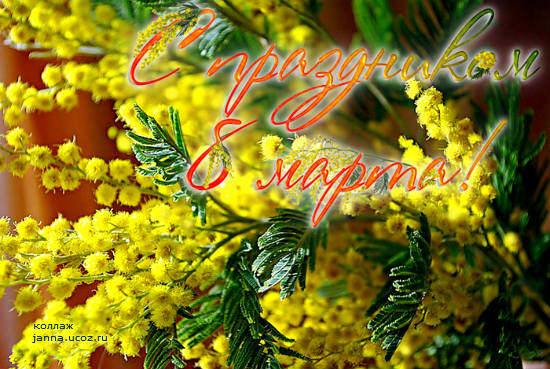 Цветы - мимоза открытка с 8 Марта