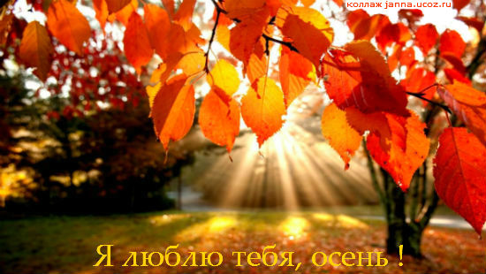 Я люблю тебя, осень ..!