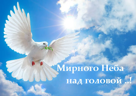 http://janna.ucoz.ru/_nw/24/36709681.jpg