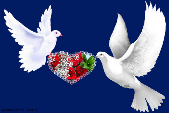 Птицы Мира - Друзья, Мир, Дружба, Добро и Позитив Земле !