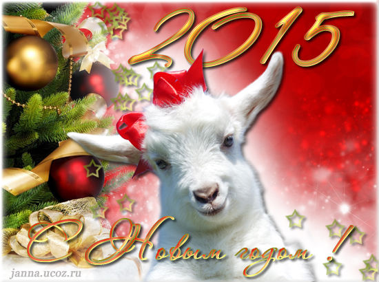 Поздравления с Новым годом, открытки с кодом - 2015 год Овцы/Козы