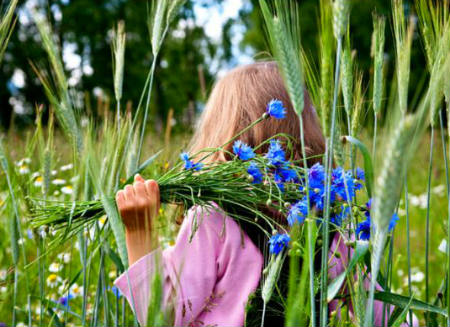 Лето. Девочка с васильками в поле