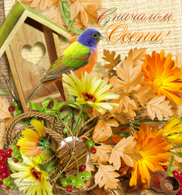 Поздравление — "С Началом осени!" Осенние открытки с кодом