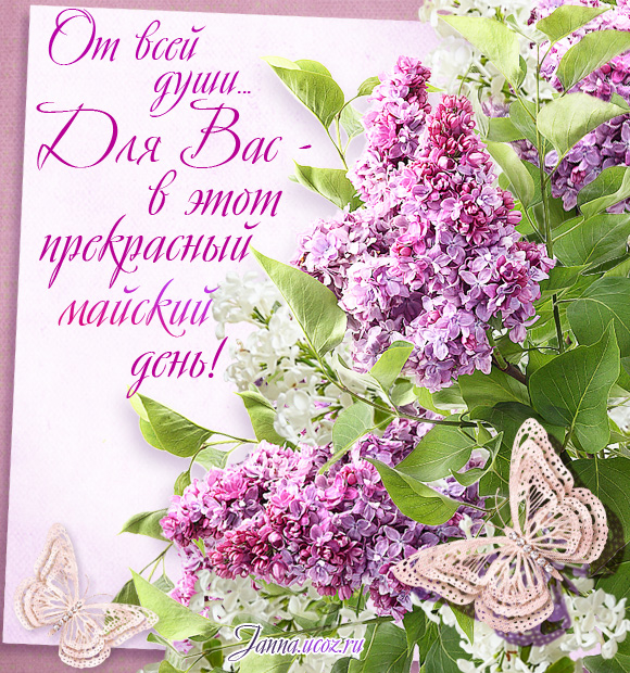 "От всей души — в этот прекрасный майский день!" — Сирень — Весенние открытки