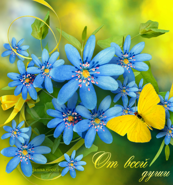 Яркая открытка — "От всей души" — с цветами весна-лето